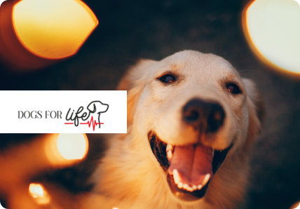 2-25 https://www.directio.com/wp-content/uploads/2024/11/2-25.webp